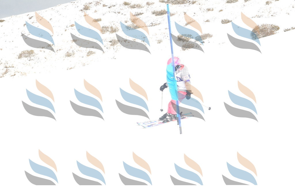 A5006 | holidayphoto