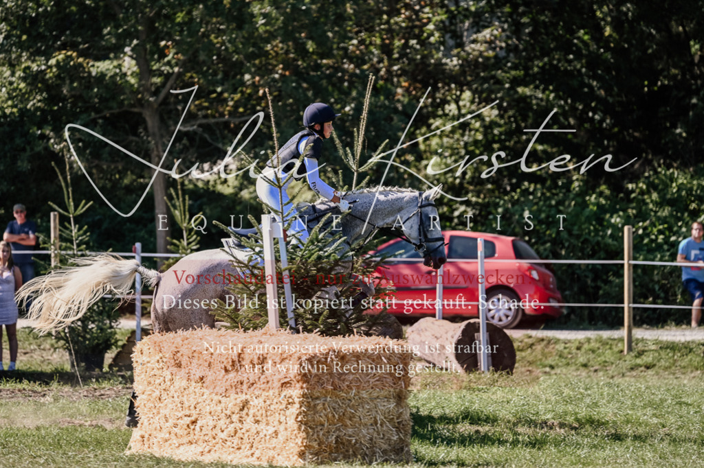 DSC_3010 | Pferde- und Turnierfotografie in Westsachsen. Pferdeportraits, Auftragszeichnungen und intuitive Kunst.