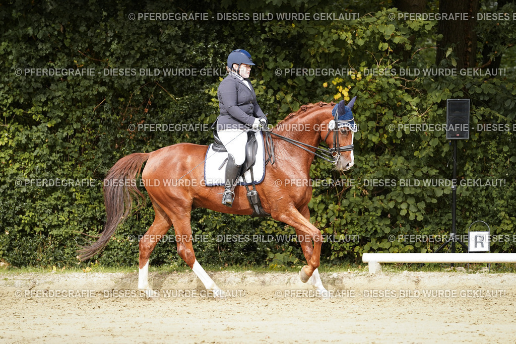 DSC02971 | Pferdegrafie