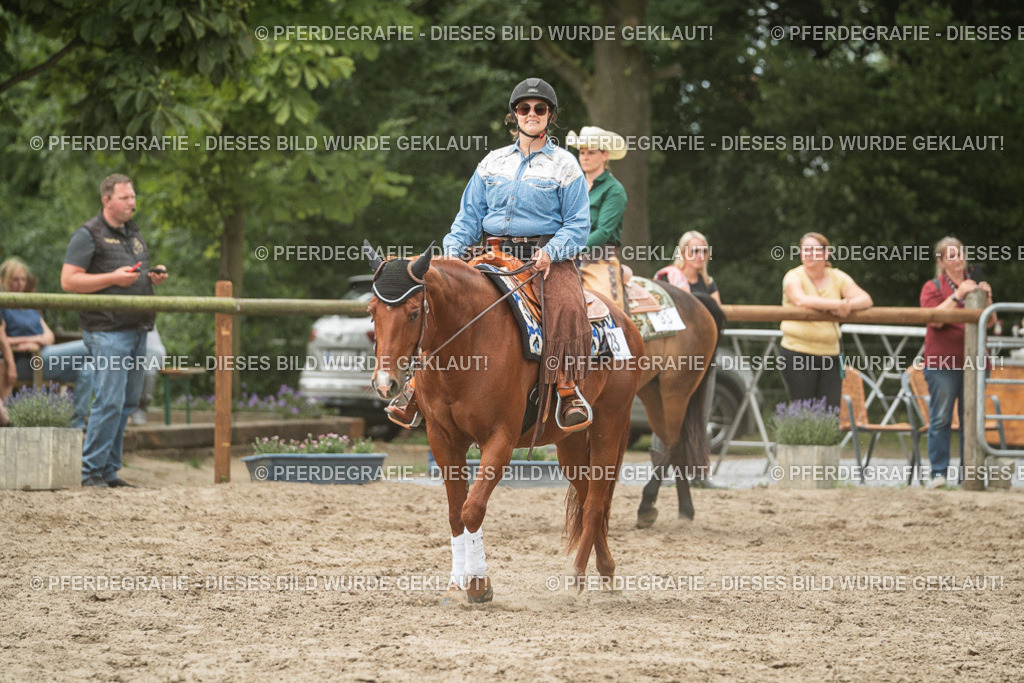 DSC03118 | Pferdegrafie