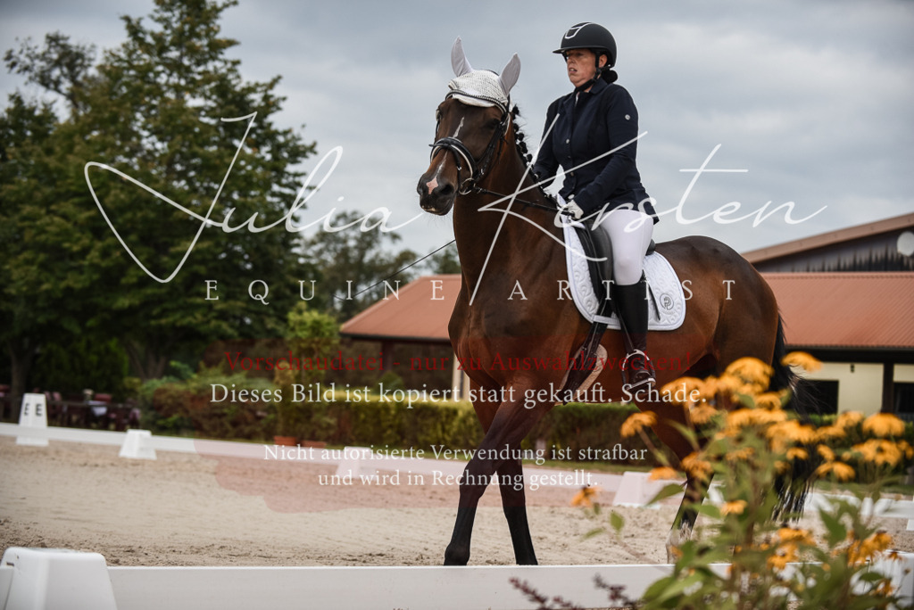 DSC_8457 | Pferde- und Turnierfotografie in Westsachsen. Pferdeportraits, Auftragszeichnungen und intuitive Kunst.