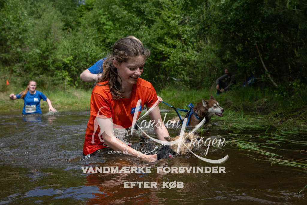 1122DKK990040 | kk-dogfotos