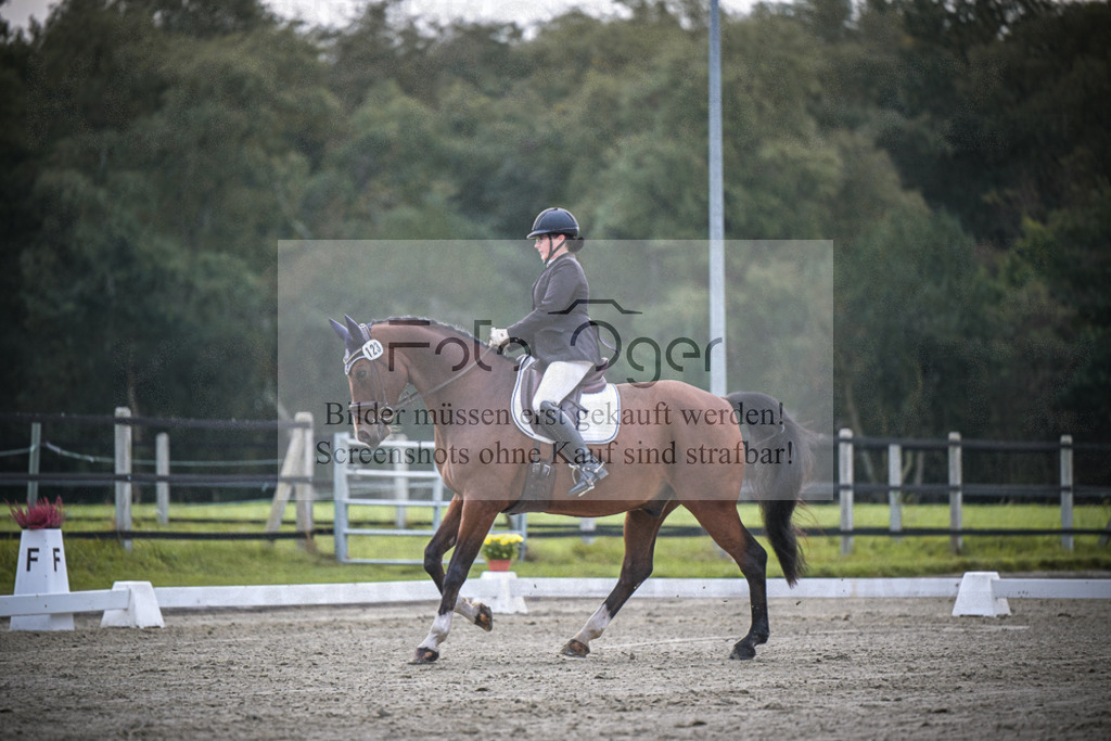 DOS_1332 | Entdecke hochwertige Reitturnierfotos von Foto Oger. Professionell, emotional und authentisch – jetzt Lieblingsmomente im Shop bestellen.Deutschlandweite Turnierfotografie. - Realisiert mit Pictrs.com