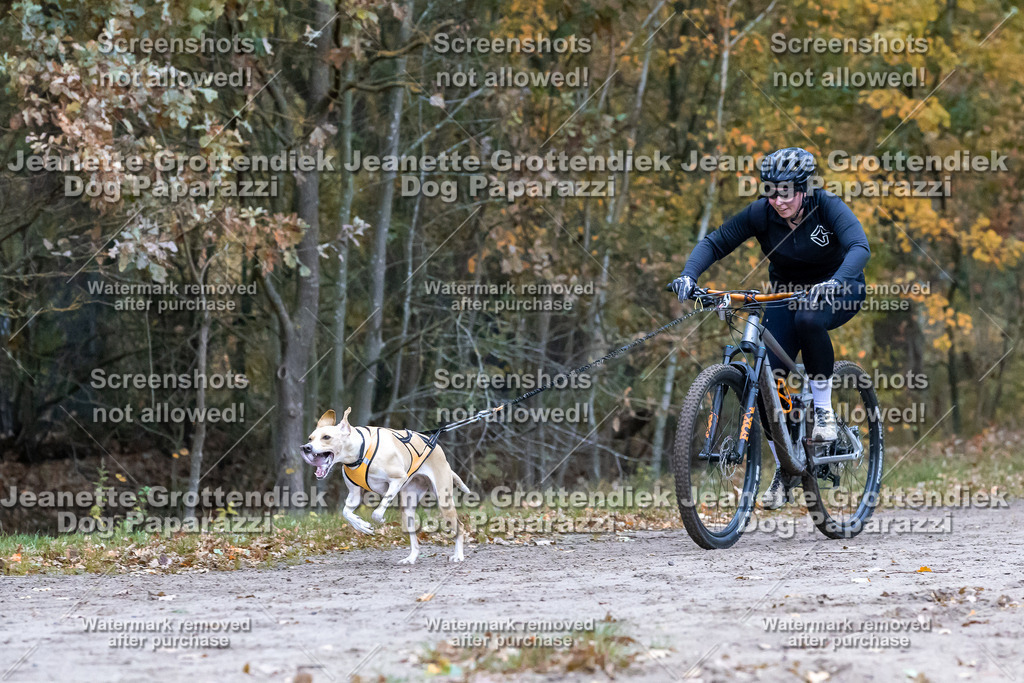 Dog Paparazzi - SD CaniX Championship 2025-243 | Dog Paparazzi Jeanette Grottendiek Fotografie & Videografie - Realisiert mit Pictrs.com