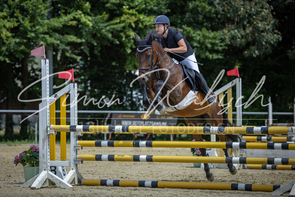 20260704-_3LI9876 | Tierfotografie Pferde, Hunde, Katzen, Haustiere.
Turnierfotografie Reitturniere, Reiten, Springreiten, Dressur in Hanau, dem Main-Kinzig-Kreis und dem Rhein-Main- Gebiet um Frankfurt