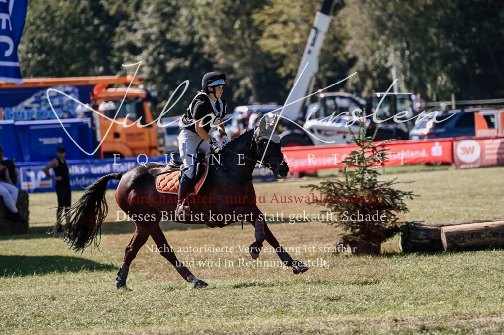 DSC_1791 | Pferde- und Turnierfotografie in Westsachsen. Pferdeportraits, Auftragszeichnungen und intuitive Kunst.