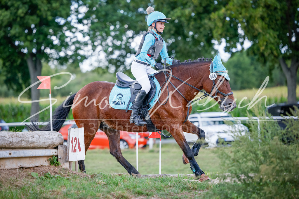 20250905-_3LI2049 | Tierfotografie Pferde, Hunde, Katzen, Haustiere.
Turnierfotografie Reitturniere, Reiten, Springreiten, Dressur in Hanau, dem Main-Kinzig-Kreis und dem Rhein-Main- Gebiet um Frankfurt