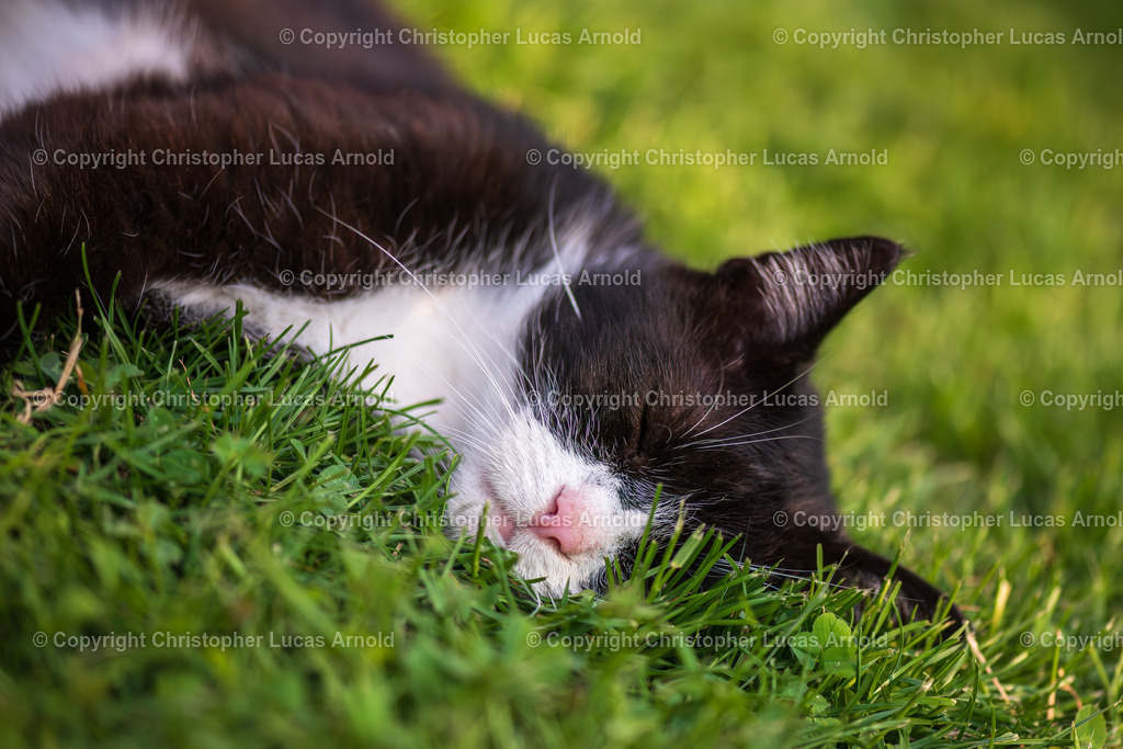 0008 | bildkomponist - Realisiert mit Pictrs.com