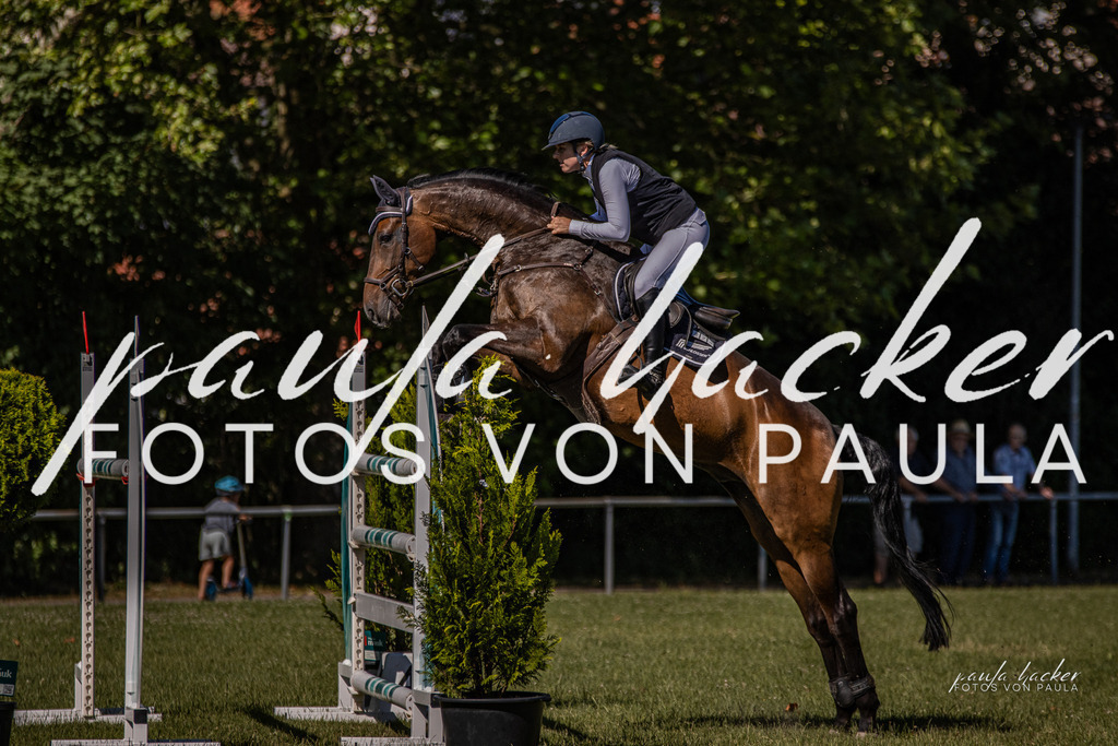 IMG_0695 | Erleben Sie dynamische Sport- und emotionale Tierfotografie in Süddeutschland mit Fotos von Paula. Spezialisiert auf Pferde- und Hundefotografie sowie Sportevents. Kontaktieren Sie mich für einzigartige und ausdrucksstarke Bilder Ihrer besonderen Momente. - Realisiert mit Pictrs.com