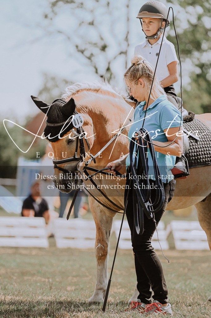 DSC_7784 | Pferde- und Turnierfotografie in Westsachsen. Pferdeportraits, Auftragszeichnungen und intuitive Kunst.