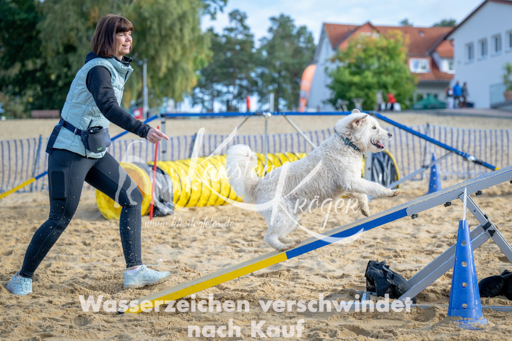 0956_ZZ93164 | kk-dogfotos