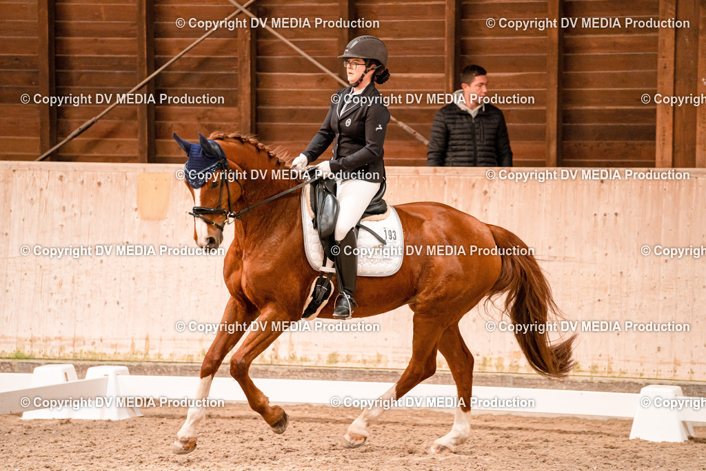 Dressur Tag 2-35 | dv-media-shop - Realisiert mit Pictrs.com