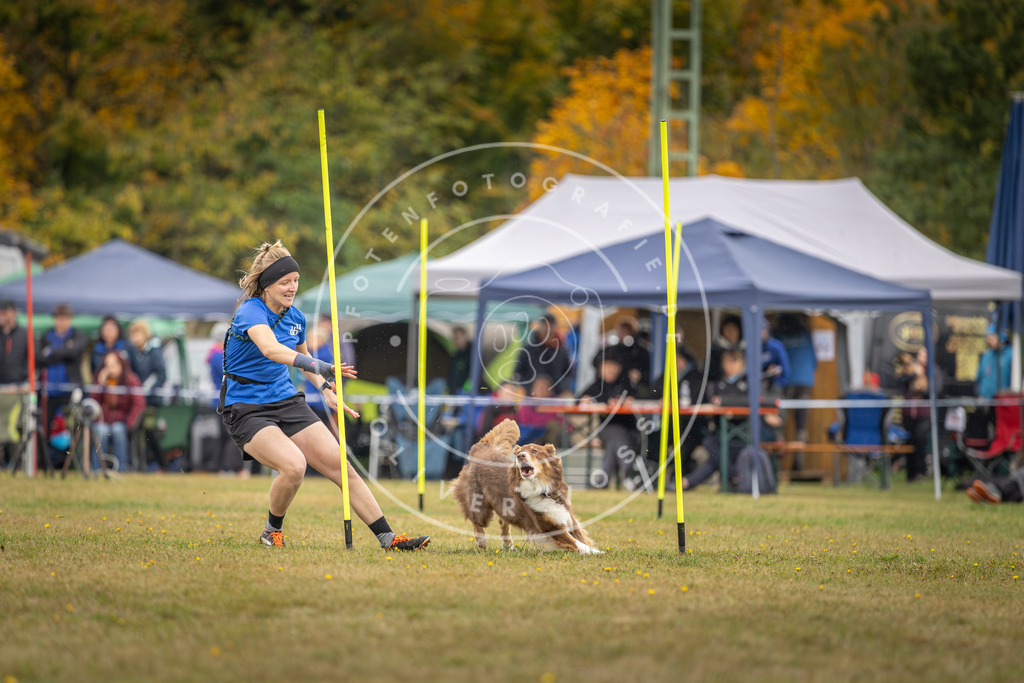 Pfotenfotografie_DV3A3604 | Hundefotografie, Tierfotograf, Pfotenfotografie, Fotoshooting Hund, Hunde Portrait, Hundesport, Hundeportraits, Heideshooting, Hunde, Sportfotograf, Hundefotograf, Turnierhundsport, THS,  - Realisiert mit Pictrs.com