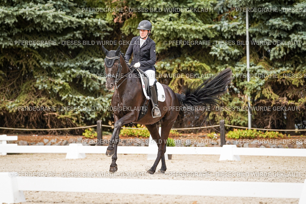 DSC06856 | Pferdegrafie