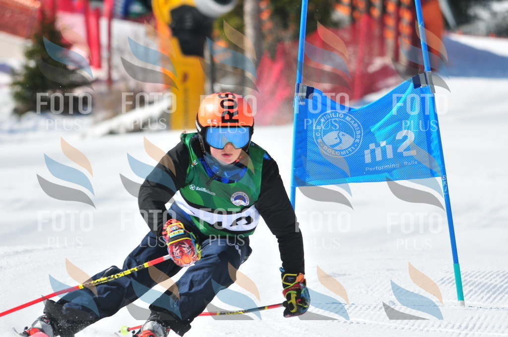 C3943 | holidayphoto