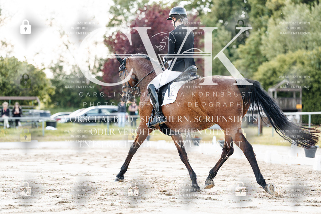 CK909643 | Turnierfotografie Pferdefotografie Trier Rheinland-Pfalz Pferdesport Reitsport Tierfotografie Sportfotografie Pferdevideo Pferdevideografie Equestrianvideography equestrianphotography  - Realisiert mit Pictrs.com