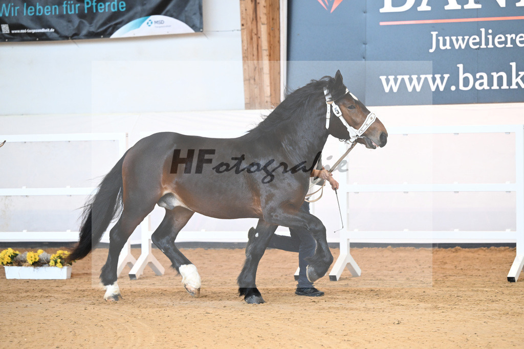 Kat-Nr. 5 v. Rauris_Gierlinger_2230045 | hf-fotografie - Realizzato con Pictrs.com