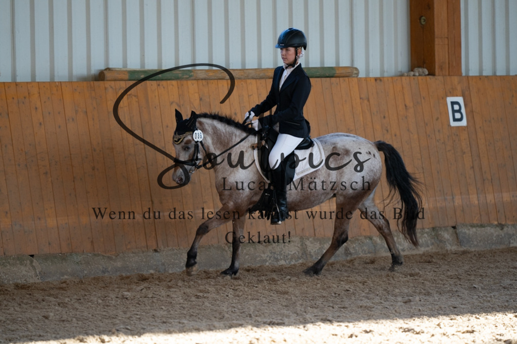 A7V01689 | Turnier/Reitfotograf