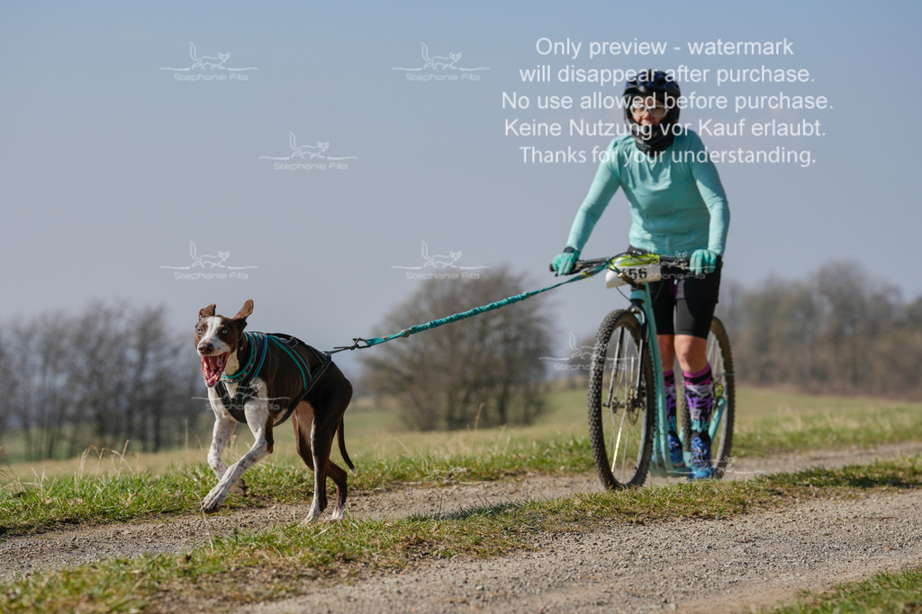 Scooter_Lang-106 | stephaniefillaphotographie - Realisiert mit Pictrs.com