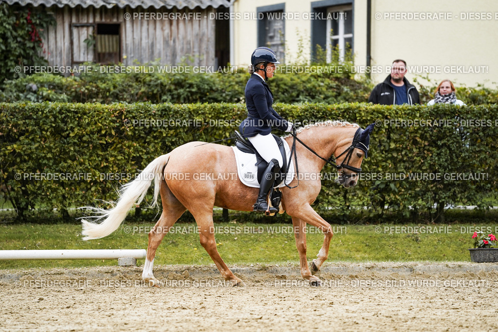 DSC09079 | Pferdegrafie