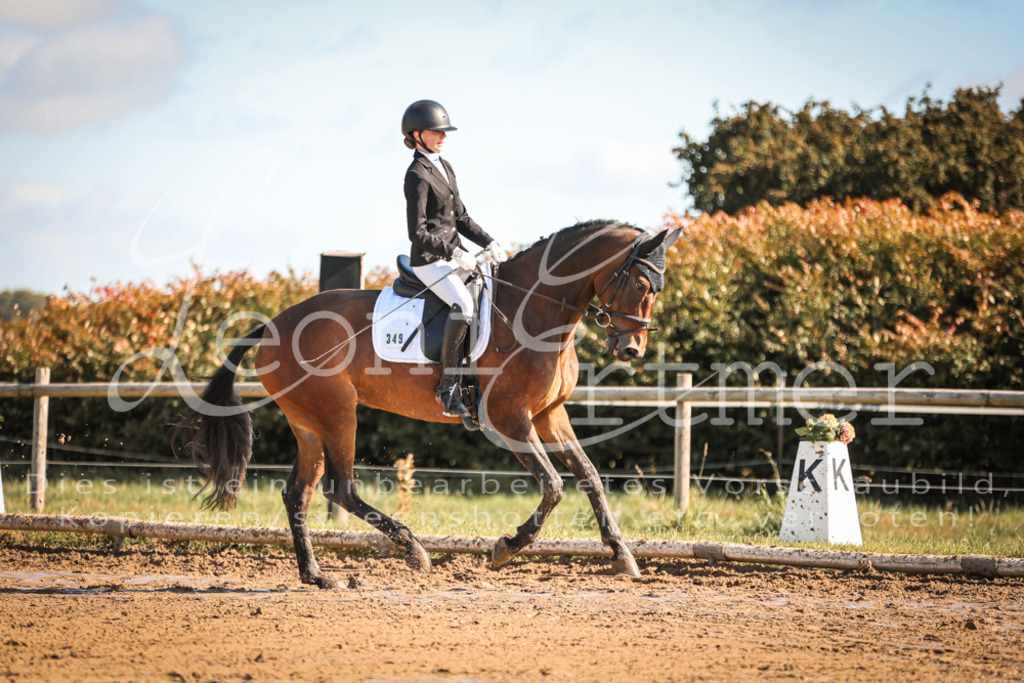 07.SoDrE00131 | Leoni Ertmer Photography - Realisiert mit Pictrs.com