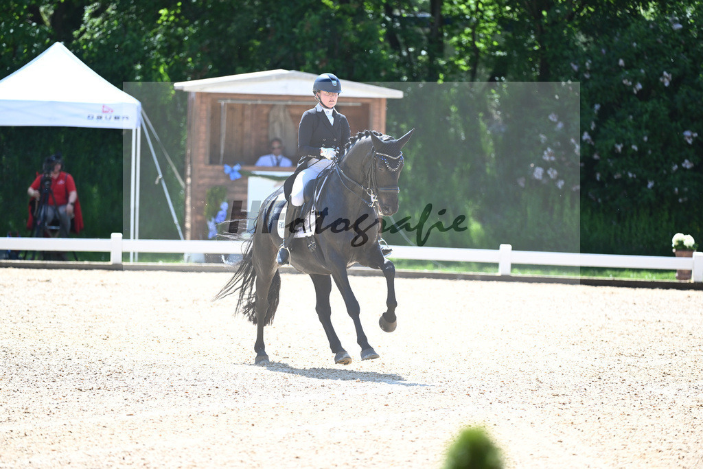 Scharday_Tamburin Man_12246271 | hf-fotografie - Realisiert mit Pictrs.com