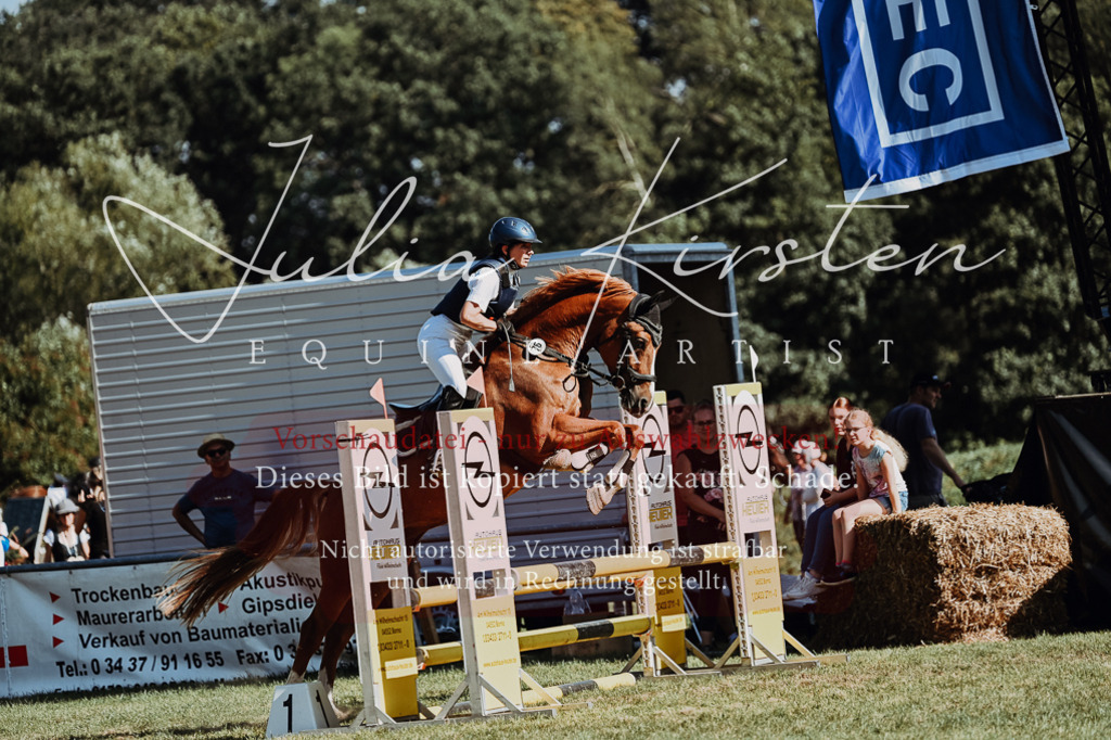 DSC_6933 | Pferde- und Turnierfotografie in Westsachsen. Pferdeportraits, Auftragszeichnungen und intuitive Kunst.