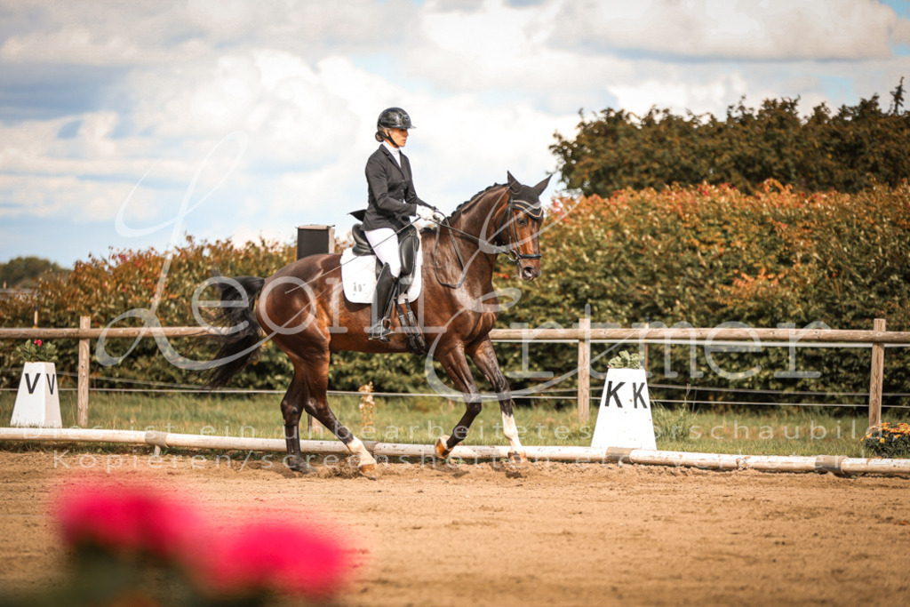 15.SaDrL00172 | Leoni Ertmer Photography - Realisiert mit Pictrs.com