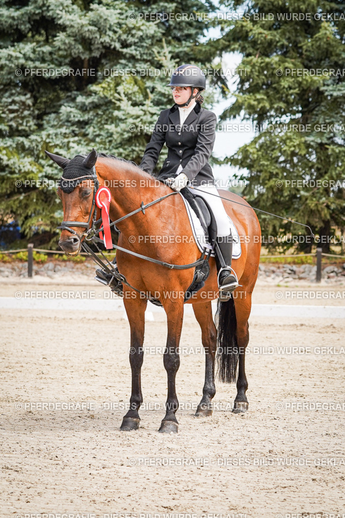 DSC02654 | Pferdegrafie