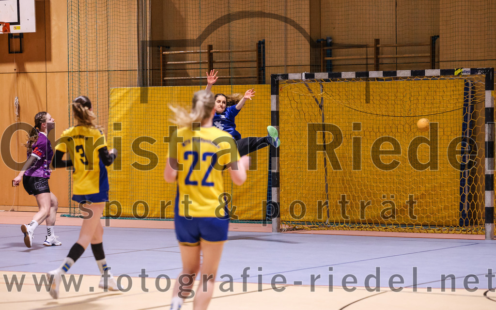2025-02-15_087_SpVgg_Altenerding_gegen_MTV_Pfaffenhofen | Erding, Deutschland, 15.02.2025:Handball, Bezirksoberliga Frauen Altbayern 2024 / 2024, 14. Spieltag, SpVgg Altenerding gegen MTV Pfaffenhofen, Endergebnis: 27:23Sophie Lößl (SpVgg Altenerding, #14), Lene Köhn (MTV Pfaffenhofen, #3), Daniela Reiher (MTV Pfaffenhofen, #22), Torfrau Annika Riehm (MTV Pfaffenhofen, #12)Foto: Christian Riedel / fotografie-riedel.net