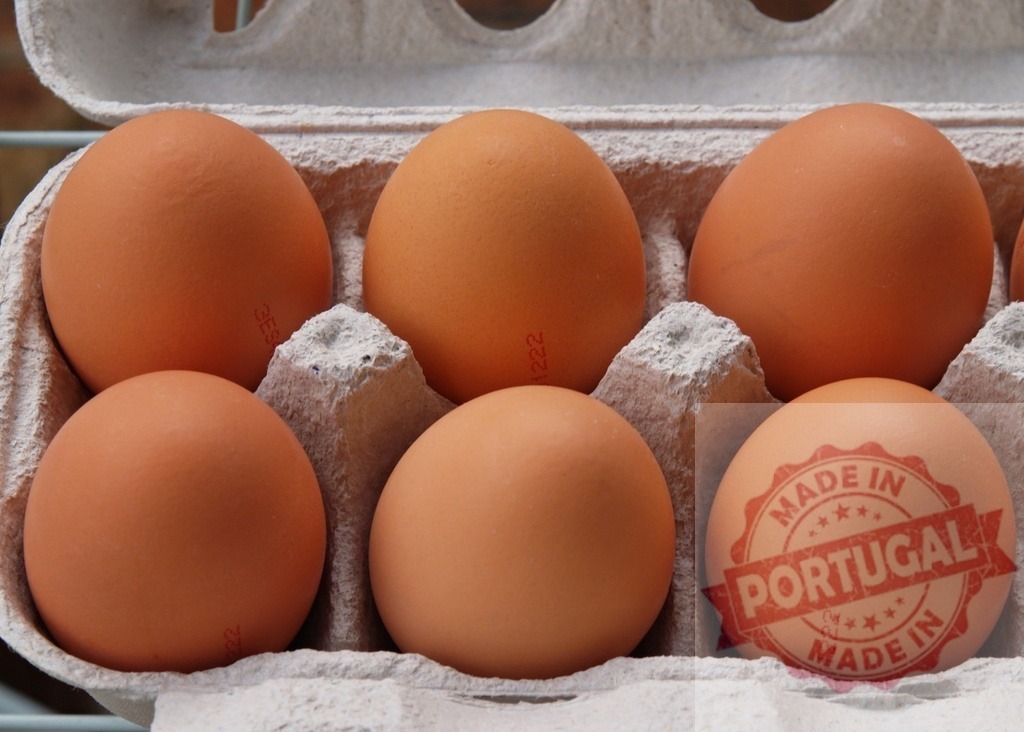 Brown eggs in carton holding fresh poultry food concept | Brown chicken eggs fill an open cardboard carton, preparing for breakfast or cooking - Realized with Pictrs.com