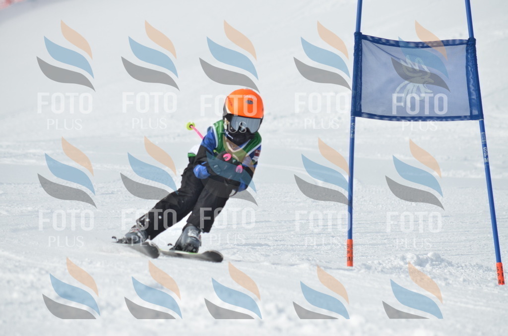 D8607 | holidayphoto