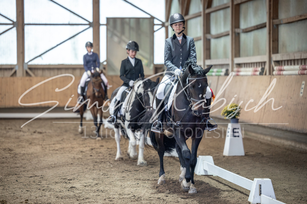 20251011-_3LI7862 | Tierfotografie Pferde, Hunde, Katzen, Haustiere.
Turnierfotografie Reitturniere, Reiten, Springreiten, Dressur in Hanau, dem Main-Kinzig-Kreis und dem Rhein-Main- Gebiet um Frankfurt