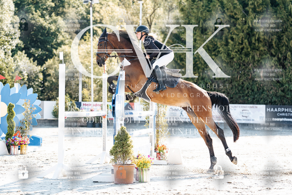 CK901753 | Turnierfotografie Pferdefotografie Trier Rheinland-Pfalz Pferdesport Reitsport Tierfotografie Sportfotografie Pferdevideo Pferdevideografie Equestrianvideography equestrianphotography  - Realisiert mit Pictrs.com