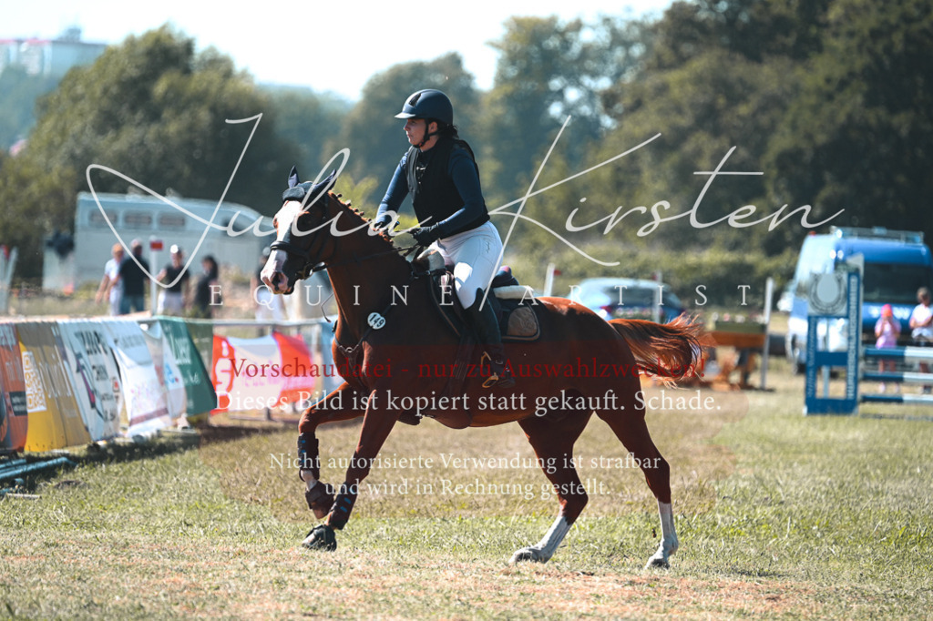 DSC_7988 | Pferde- und Turnierfotografie in Westsachsen. Pferdeportraits, Auftragszeichnungen und intuitive Kunst.