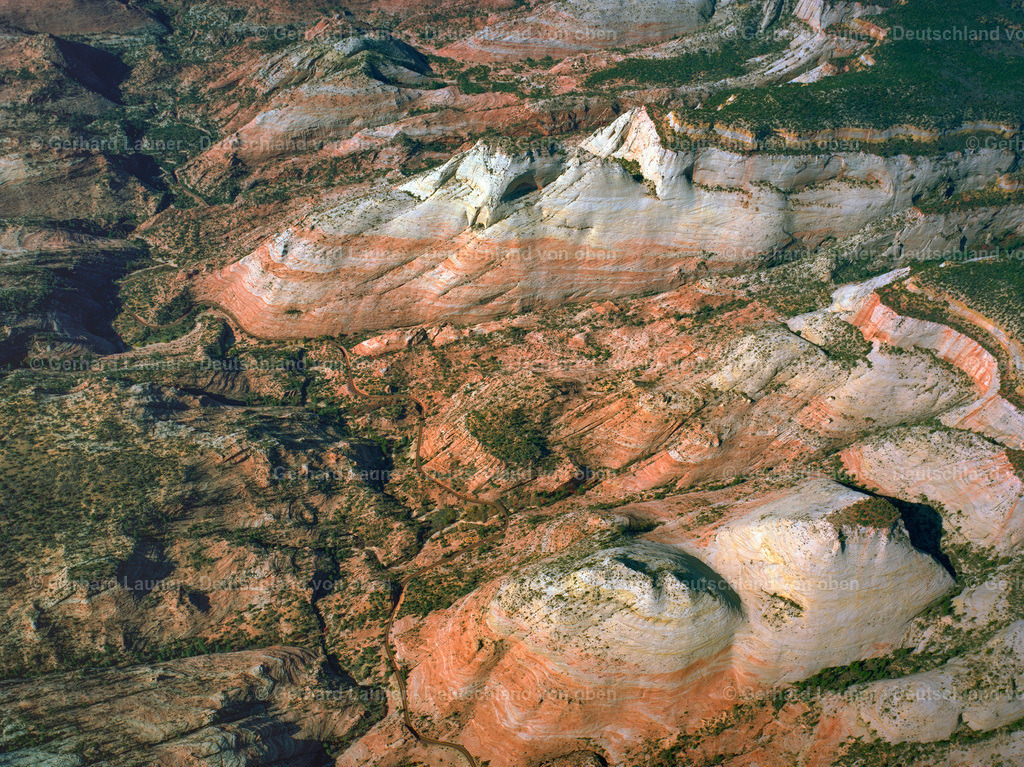 9102500 | Zion National Park, Utah, USA 1999