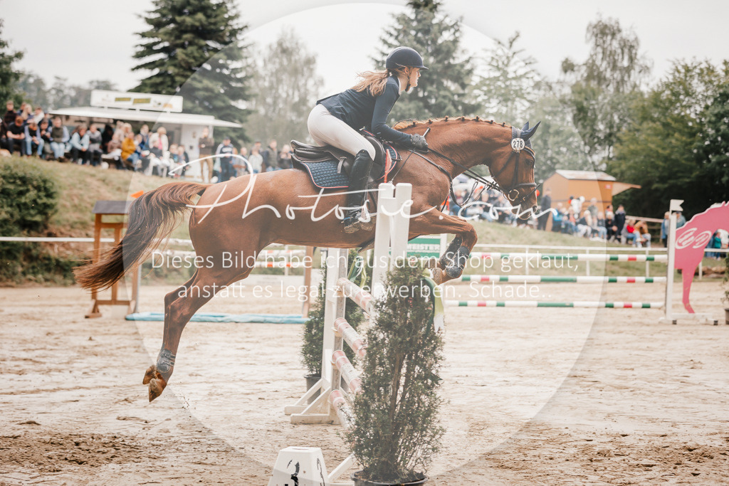 3I6A2173 | Stimmungsvolle Portraits und Reitsportfotografie im Ruhrgebiet und im Münsterland.

Pferdefotografie, Hundefotografie, Tierfotografie, Reportagen, Portraits von Tier und Mensch, Turnierfotografie in Bochum, Recklinghausen, Marl, Haltern am See, Dülmen.. - Realisiert mit Pictrs.com