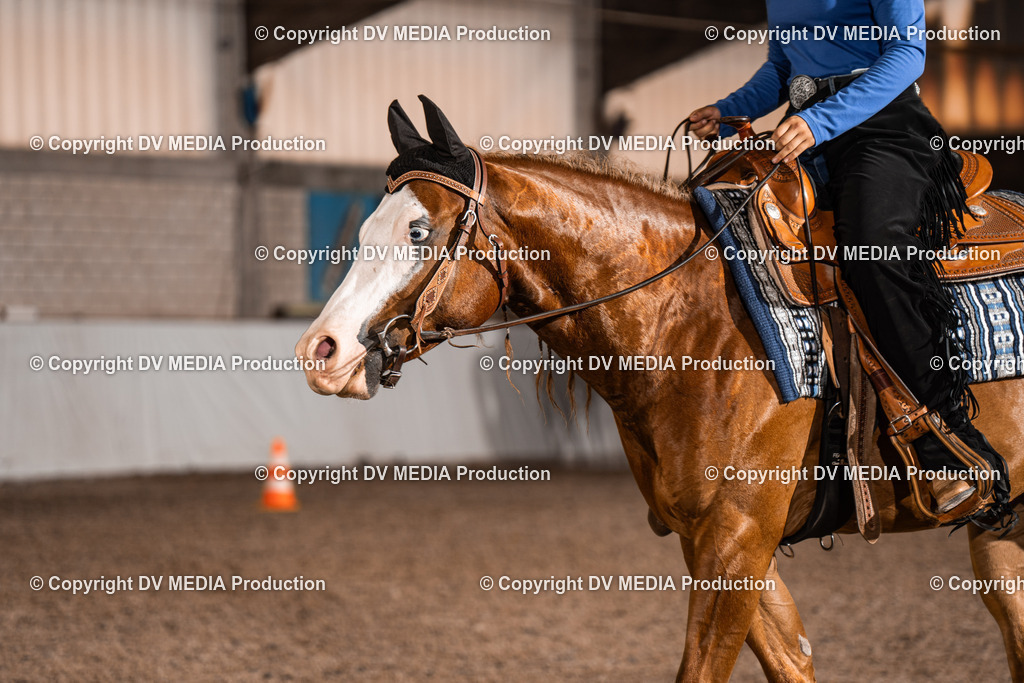 ZH200358 | dv-media-shop - Realisiert mit Pictrs.com