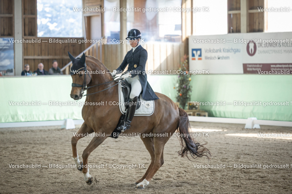 _D5A9635 | Emotionale Pferde- & People-Fotografie rund um Heidelberg, Leimen & Umgebung. Natürliche Fotos von Pferd, Mensch & Familie. Jetzt Termin sichern!