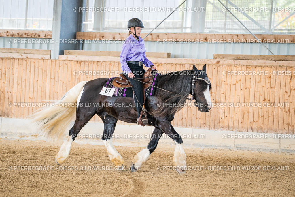 DSC03209 | Pferdegrafie