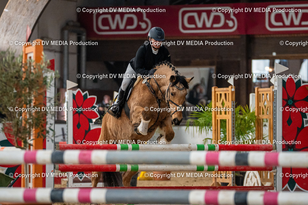 Kranichstein Tag 1-163 | dv-media-shop - Realisiert mit Pictrs.com