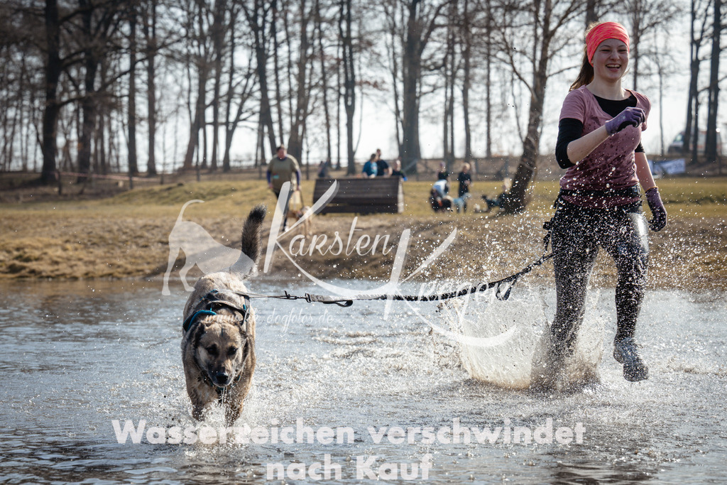 1130_ZZ95025 | kk-dogfotos