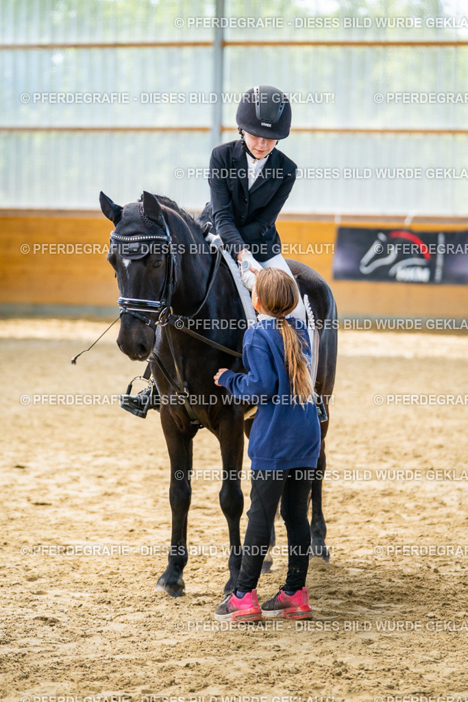 DSC01171 | Pferdegrafie