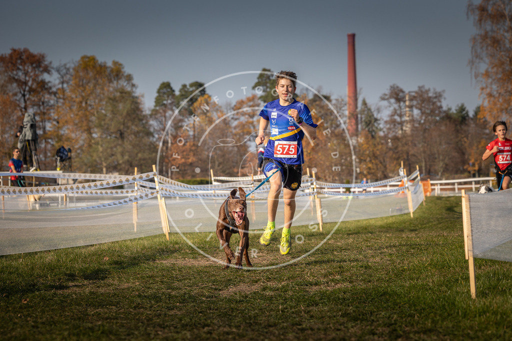 CaniXpix_0L8A9543 | Hundefotografie, Tierfotograf, Pfotenfotografie, Fotoshooting Hund, Hunde Portrait, Hundesport, Hundeportraits, Heideshooting, Hunde, Sportfotograf, Hundefotograf, Turnierhundsport, THS,  - Realisiert mit Pictrs.com