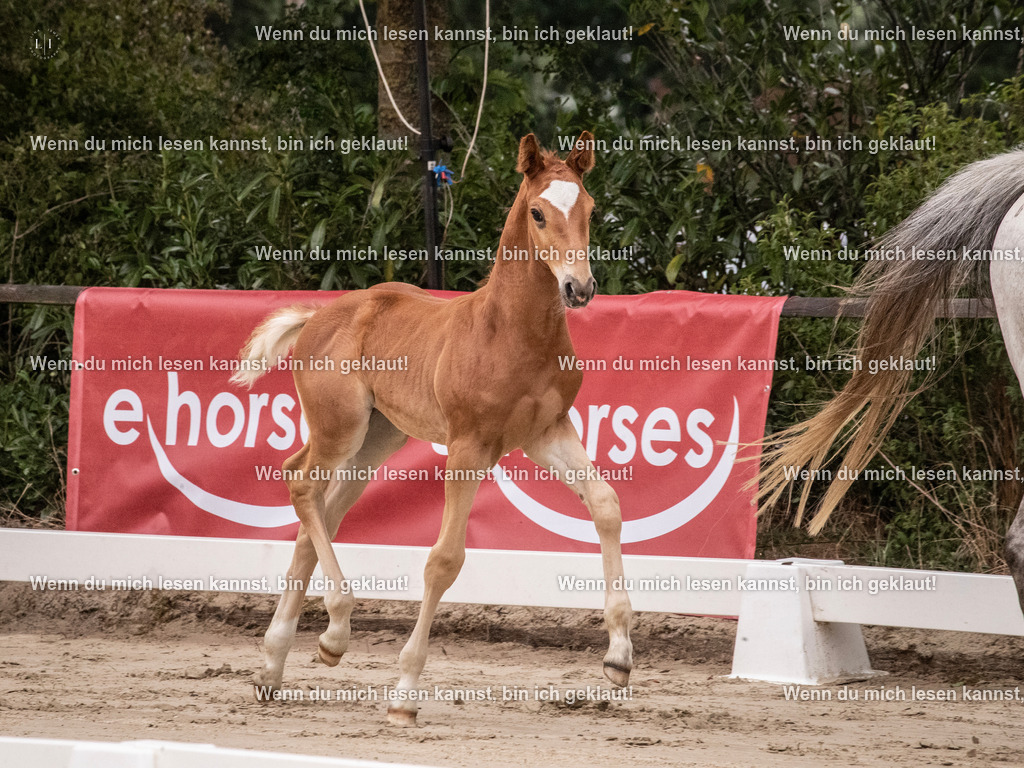 A10I9406 | photographylinaismer - Realisiert mit Pictrs.com