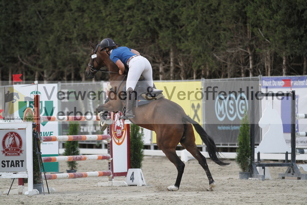 _MG_6743 | equestrian-live-com