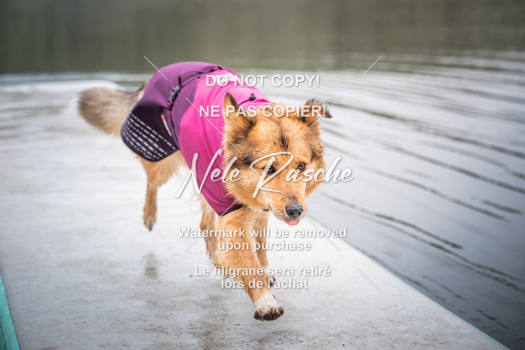 nelerasche_SoUnterwegs_30 | nelerasche