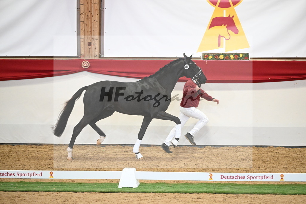 Kat.-Nr. 50 v. Donier_Meyer_2250184 | hf-fotografie - Realisiert mit Pictrs.com