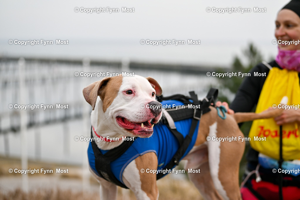 DSC_3757 | Hallo und herzlich Willkommen auf meiner Shop-Seite Fynn Most.

Ich wünsche Dir viel Spaß beim stöbern durch die Bilder, wenn Du Fragen hast oder Bilder vermisst, kannst du mir gerne eine Nachricht schreiben. - Realisiert mit Pictrs.com
