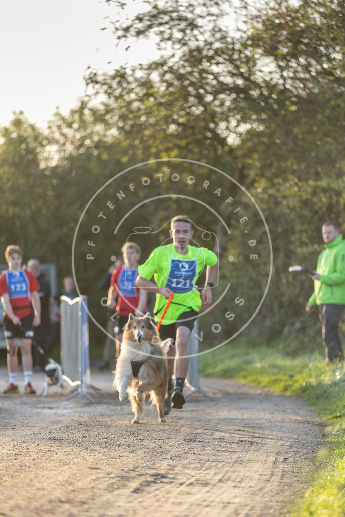 Pfotenfotografie.de_DV3A2373 | Hundefotografie, Tierfotograf, Pfotenfotografie, Fotoshooting Hund, Hunde Portrait, Hundesport, Hundeportraits, Heideshooting, Hunde, Sportfotograf, Hundefotograf, Turnierhundsport, THS, canicross - Realisiert mit Pictrs.com